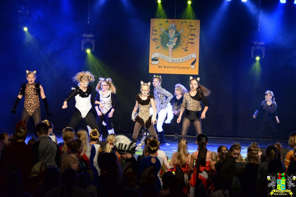 ../Images/Dansmariekefestival 2020 343.jpg